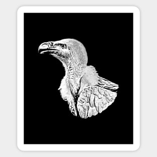 Vulture Sticker